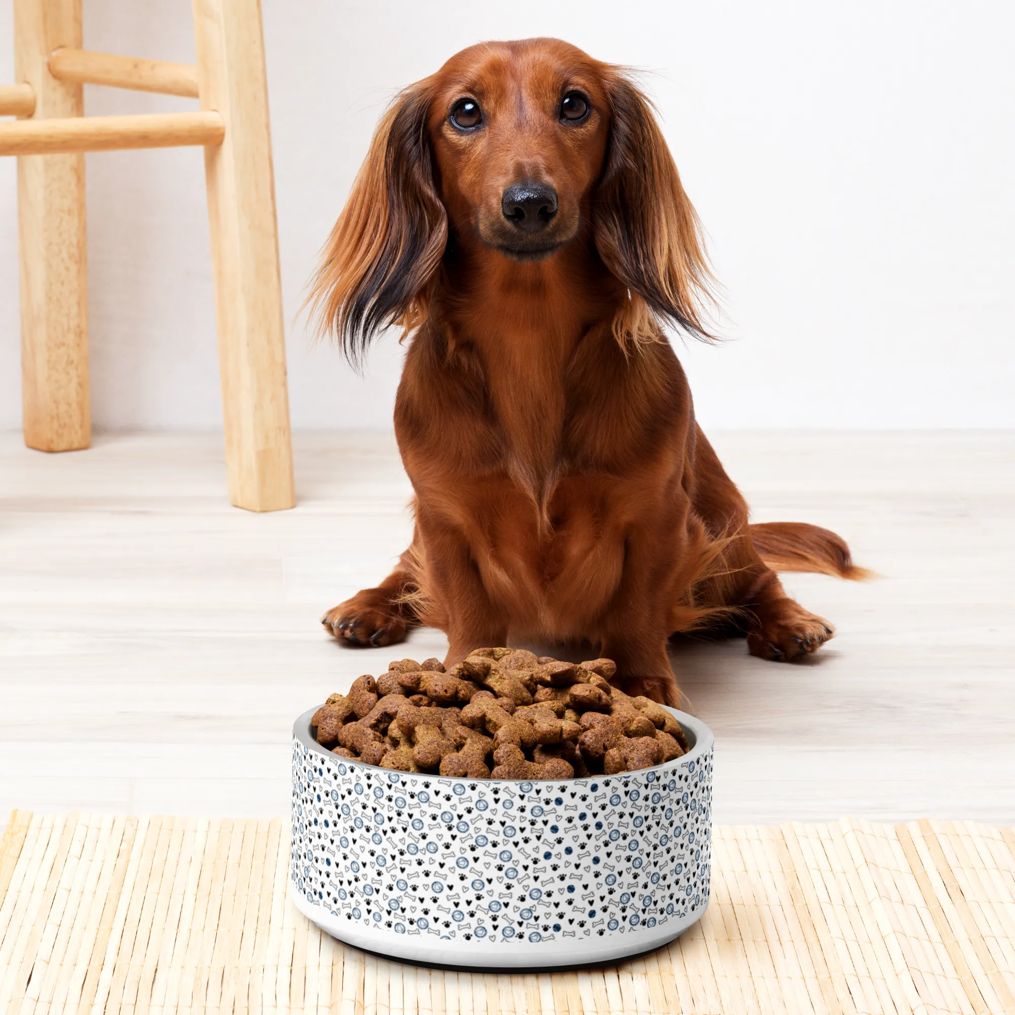 AA Logo All Over Bone Print Pet bowl