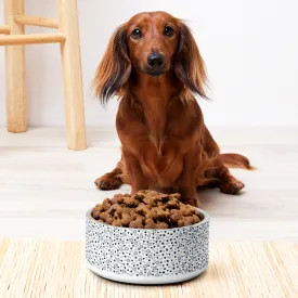 AA Logo All Over Bone Print Pet bowl