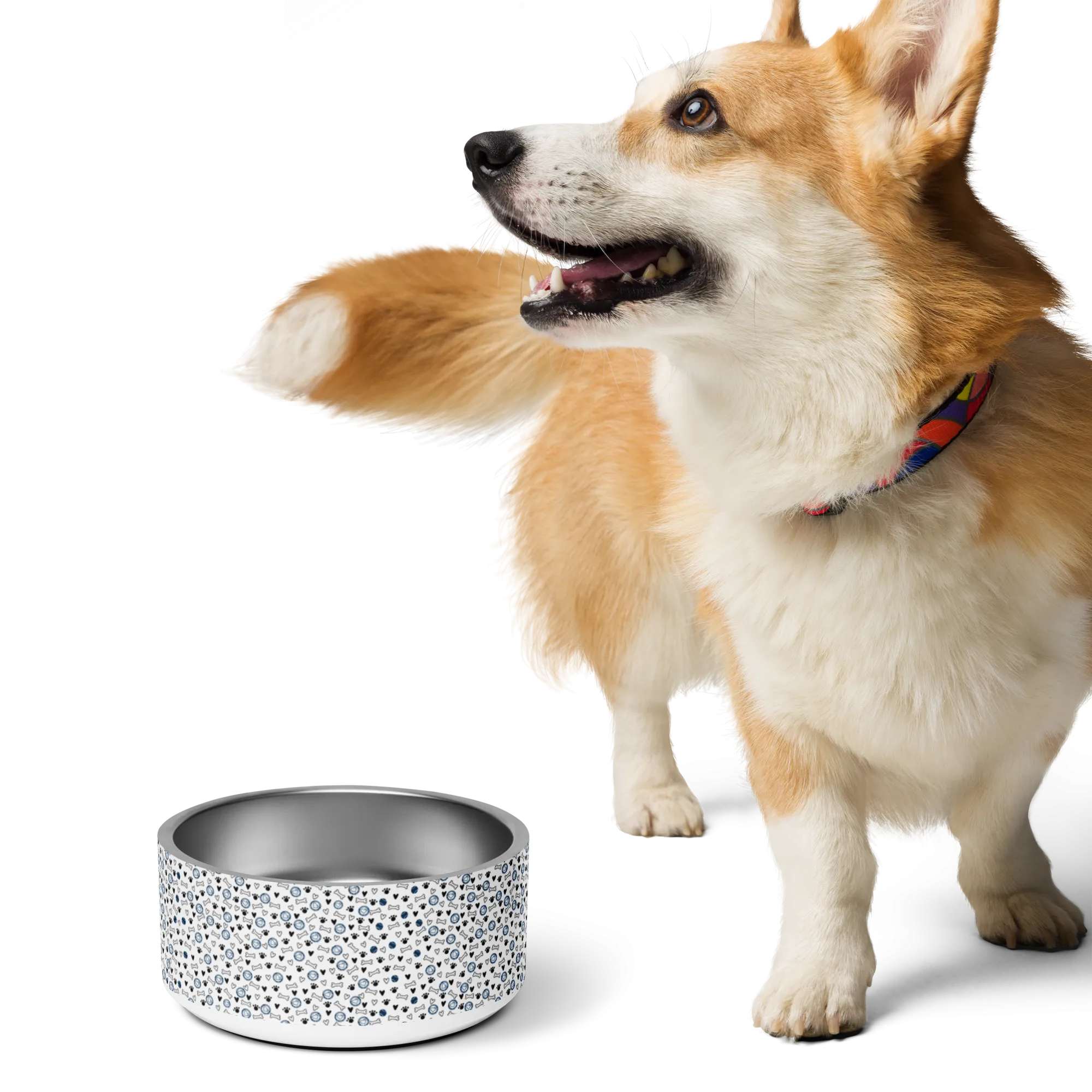 AA Logo All Over Bone Print Pet bowl