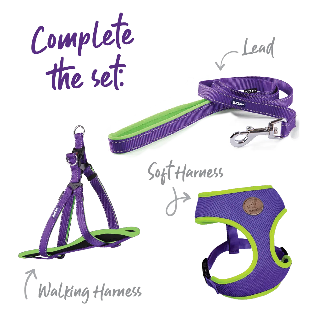 Active Soft Walking Dog Harness - Purple & Lime