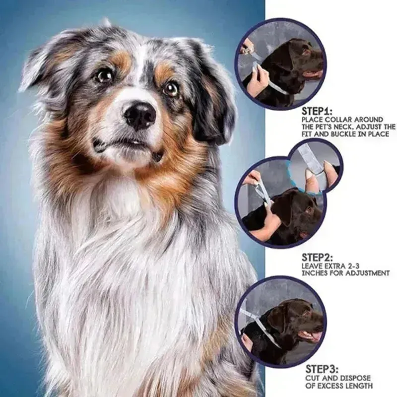 Adjustable Anti-Flea & Tick Collar for Dogs & Cats - 8 Month Protection