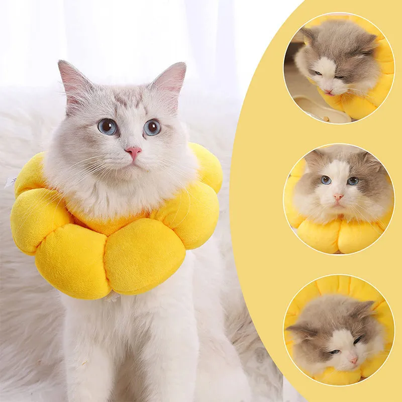 Adjustable Elizabethan Neck Shame Collar