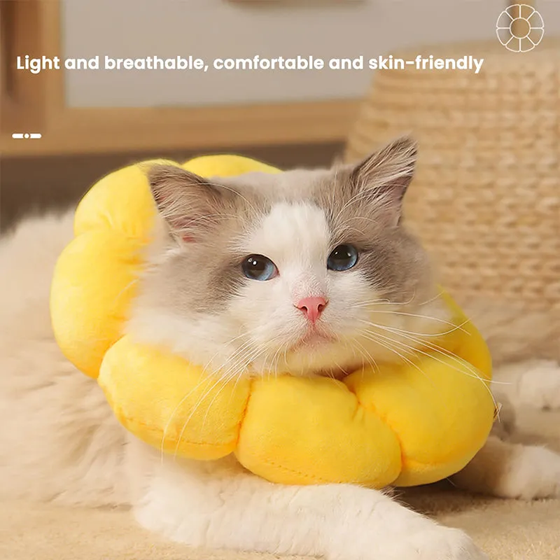 Adjustable Elizabethan Neck Shame Collar