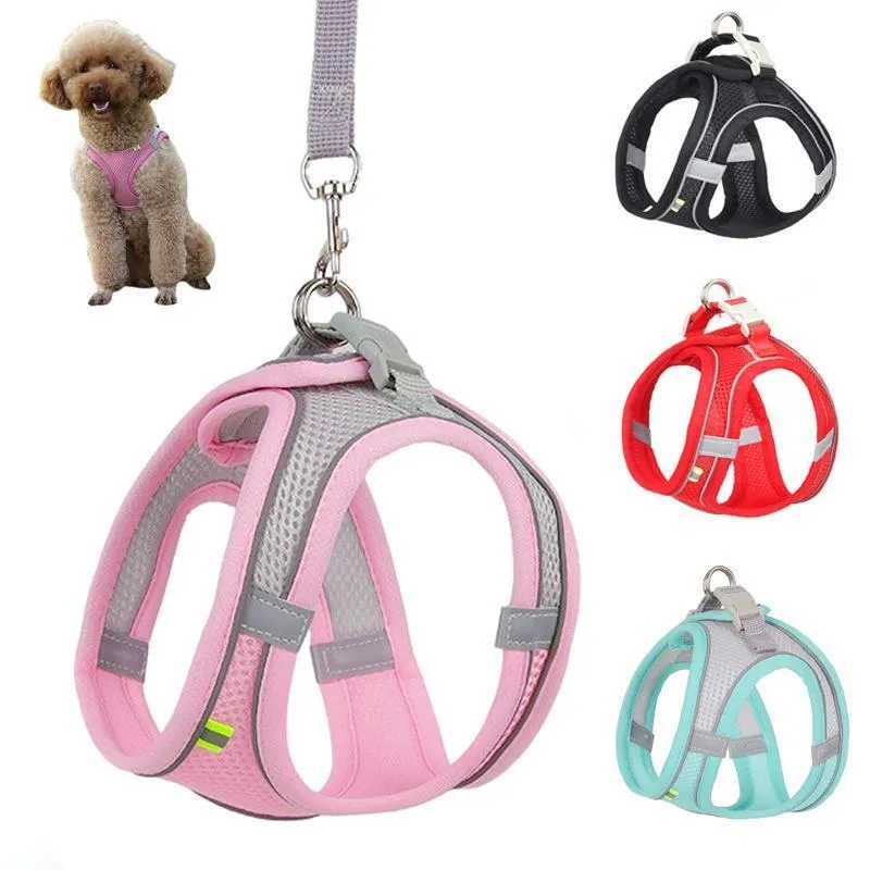 Adjustable Harness and Leash Set for Small Dogs and Cats