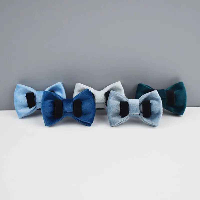 AnyWags Cat Collar Blue Large with Safety Buckle, Bell, and Durable Strap Stylish and Comfortable Pet Accessory