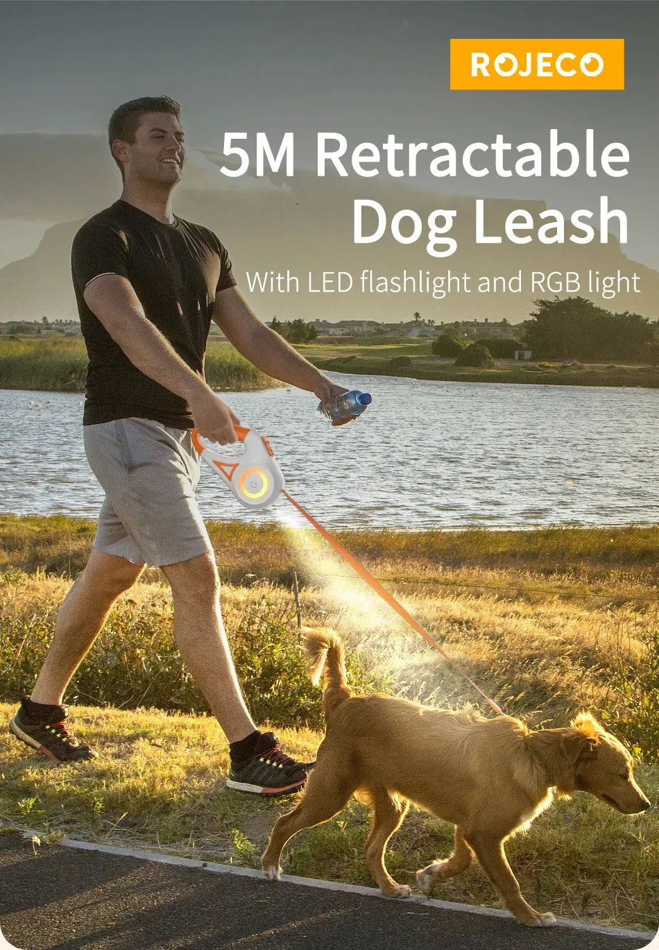 Automatic Retractable Dog Leash LED Luminous Leading Fashion Light Straps For Dog Puppy Pet Flexi Walking Running Lead