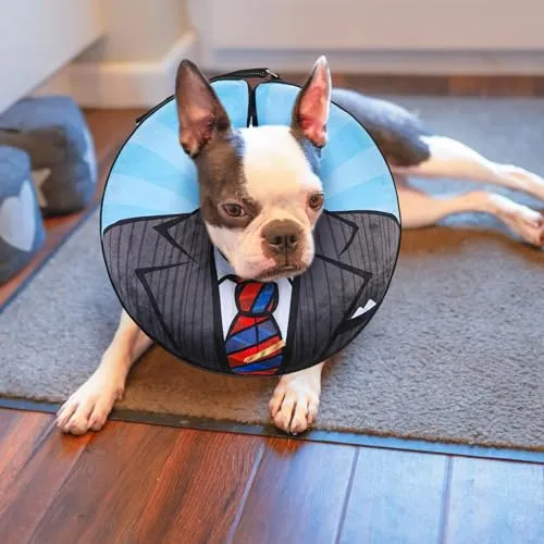 BEAUTYZOO Inflatable Dog Cone Collar, Recovery Dog Cone After Surgery, Adjustable Blow up Dog Donut Collar, Pet Recovery Collar for Dogs,Black M