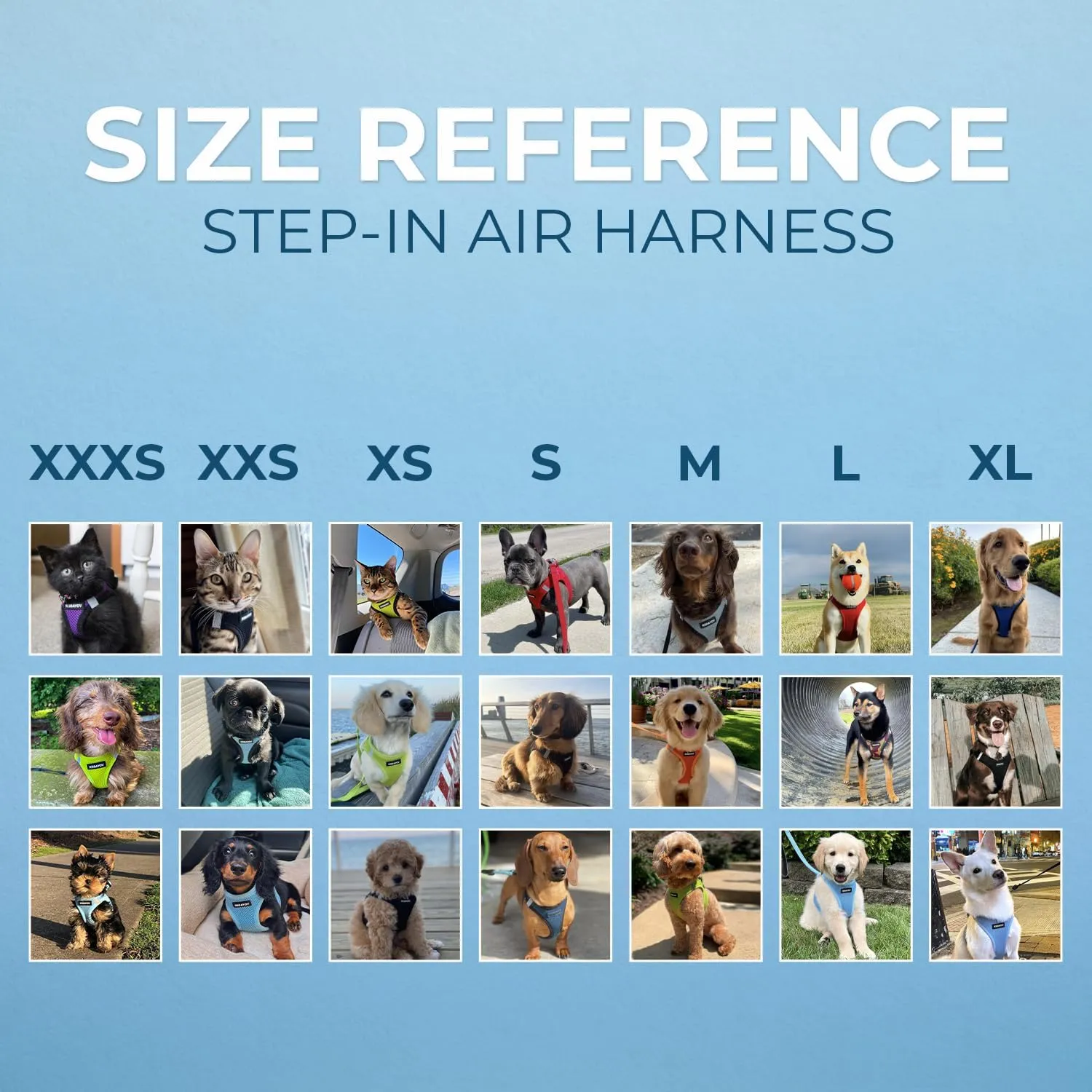 Best Pet Supplies Voyager Step-in Air Dog Harness - All Weather Mesh, Reflective, No Pull Harness for Small, Medium Dogs, Cats - Secure with Hook & Loop Fastener, Buckle, Double D-Rings - Blue, XL