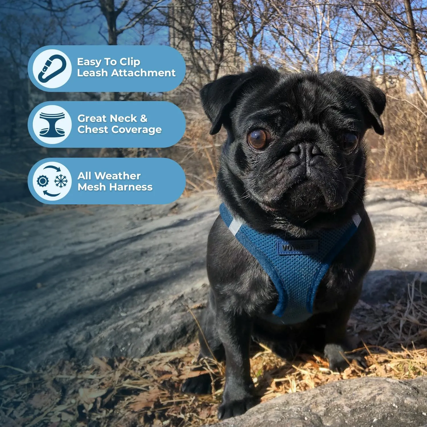 Best Pet Supplies Voyager Step-in Air Dog Harness - All Weather Mesh, Reflective, No Pull Harness for Small, Medium Dogs, Cats - Secure with Hook & Loop Fastener, Buckle, Double D-Rings - Blue, XL