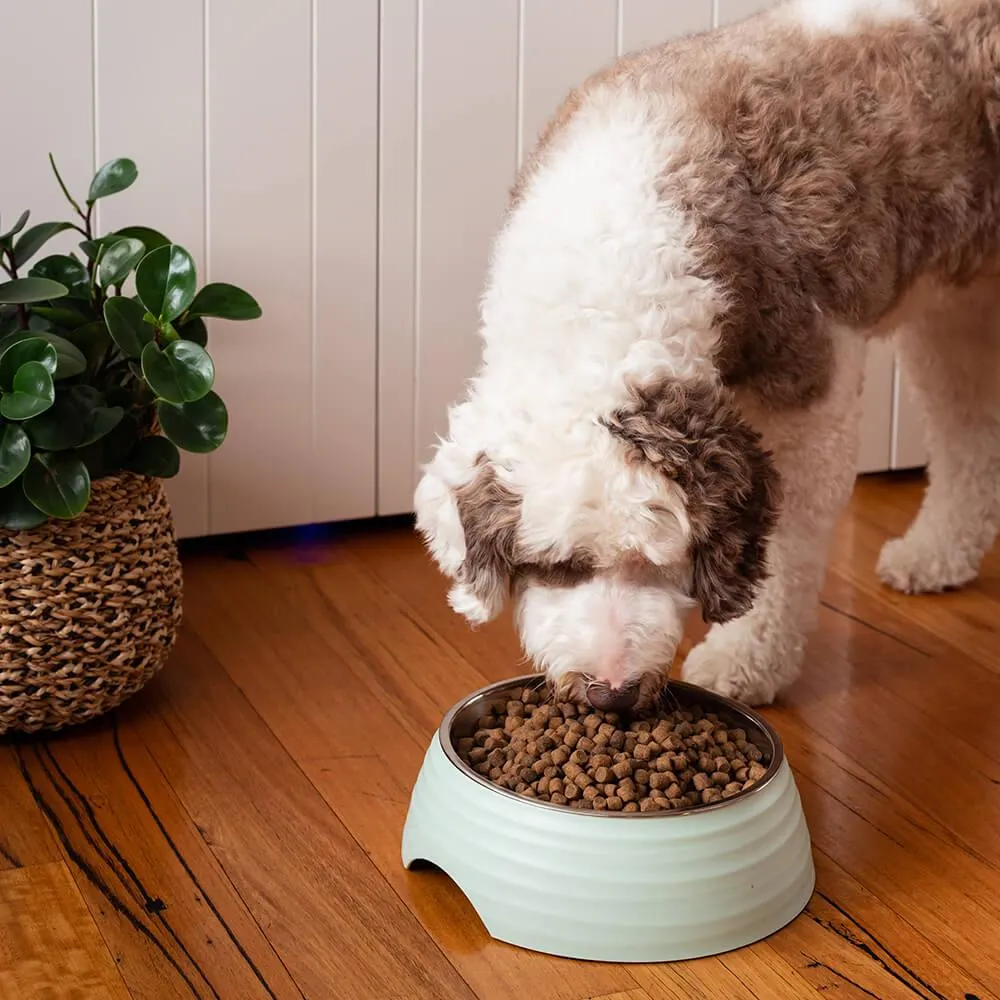 Buddy & Belle Ripple Melamine Bowl