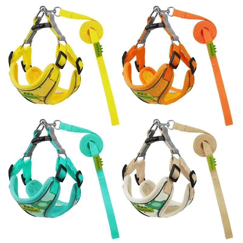 CDDMPET Cartoon Puppy Harness and Leash Set for Small Dogs