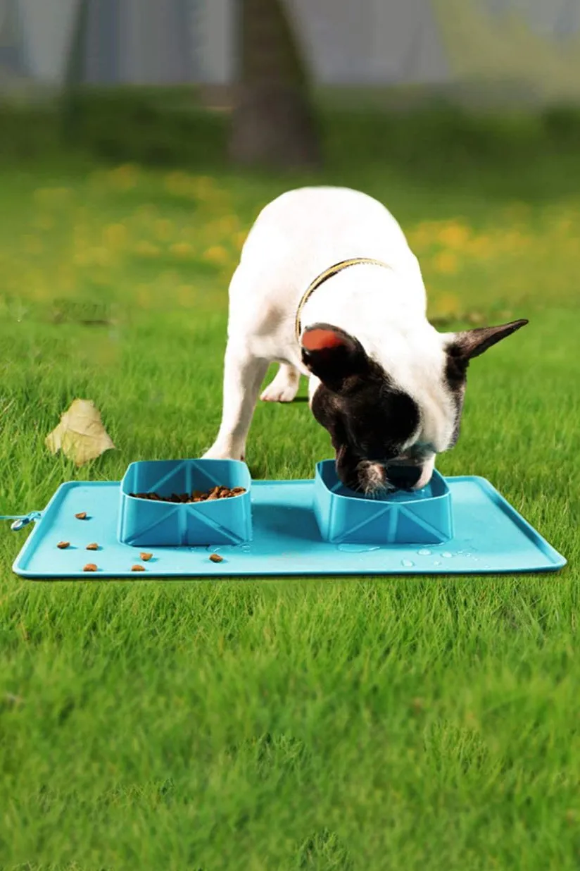 Collapsible Travel Pet Bowl