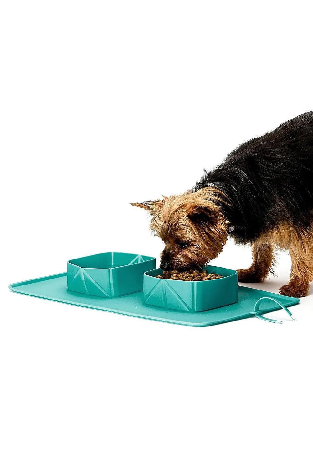 Collapsible Travel Pet Bowl