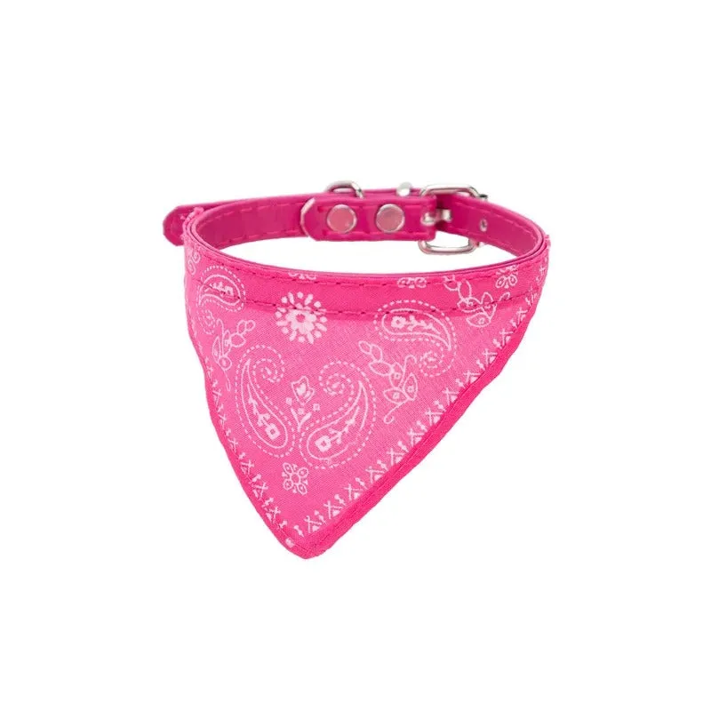 Collar Bandana