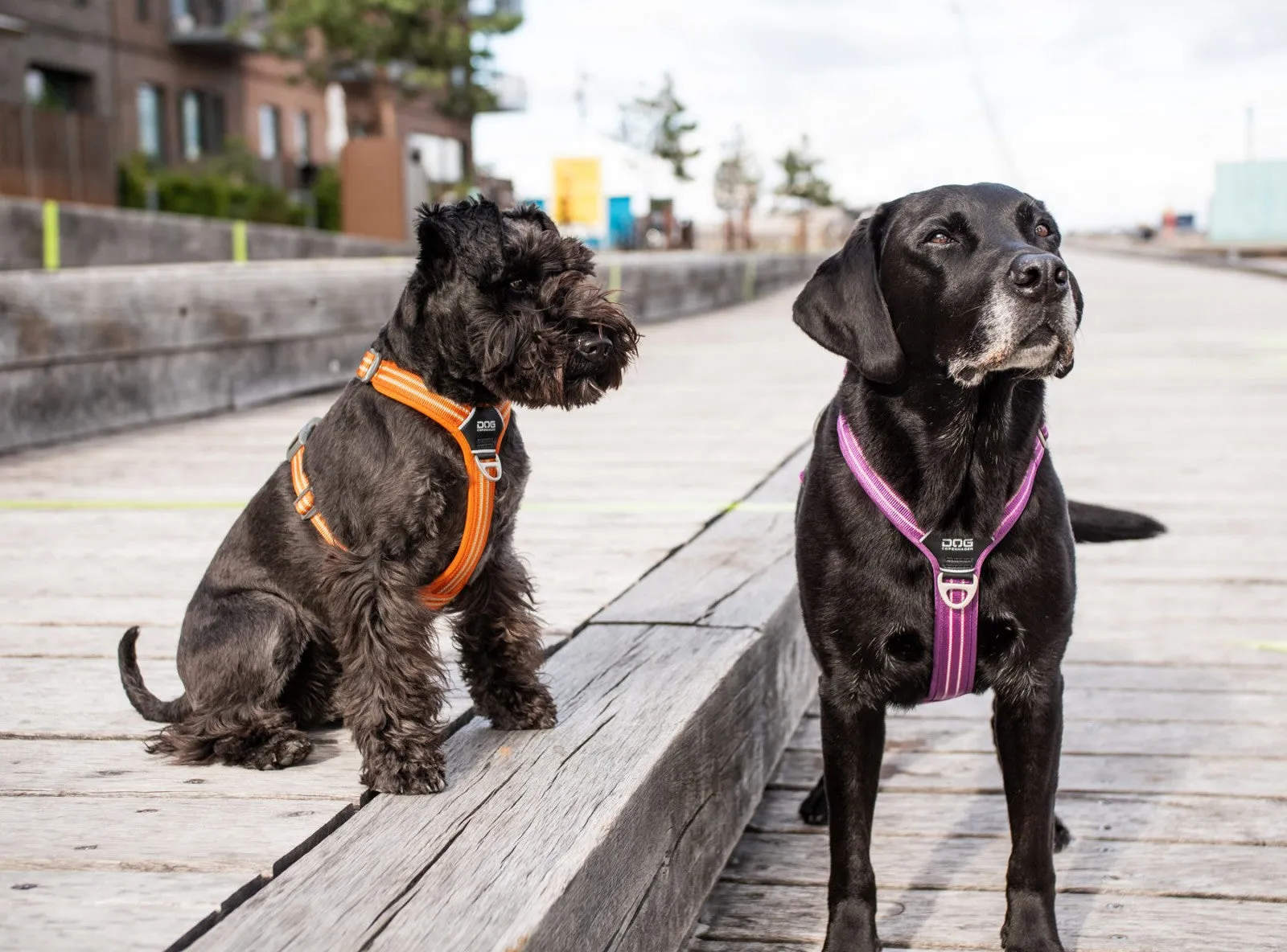 Copenhagen Comfort Walk Pro Dog Harness-Pink