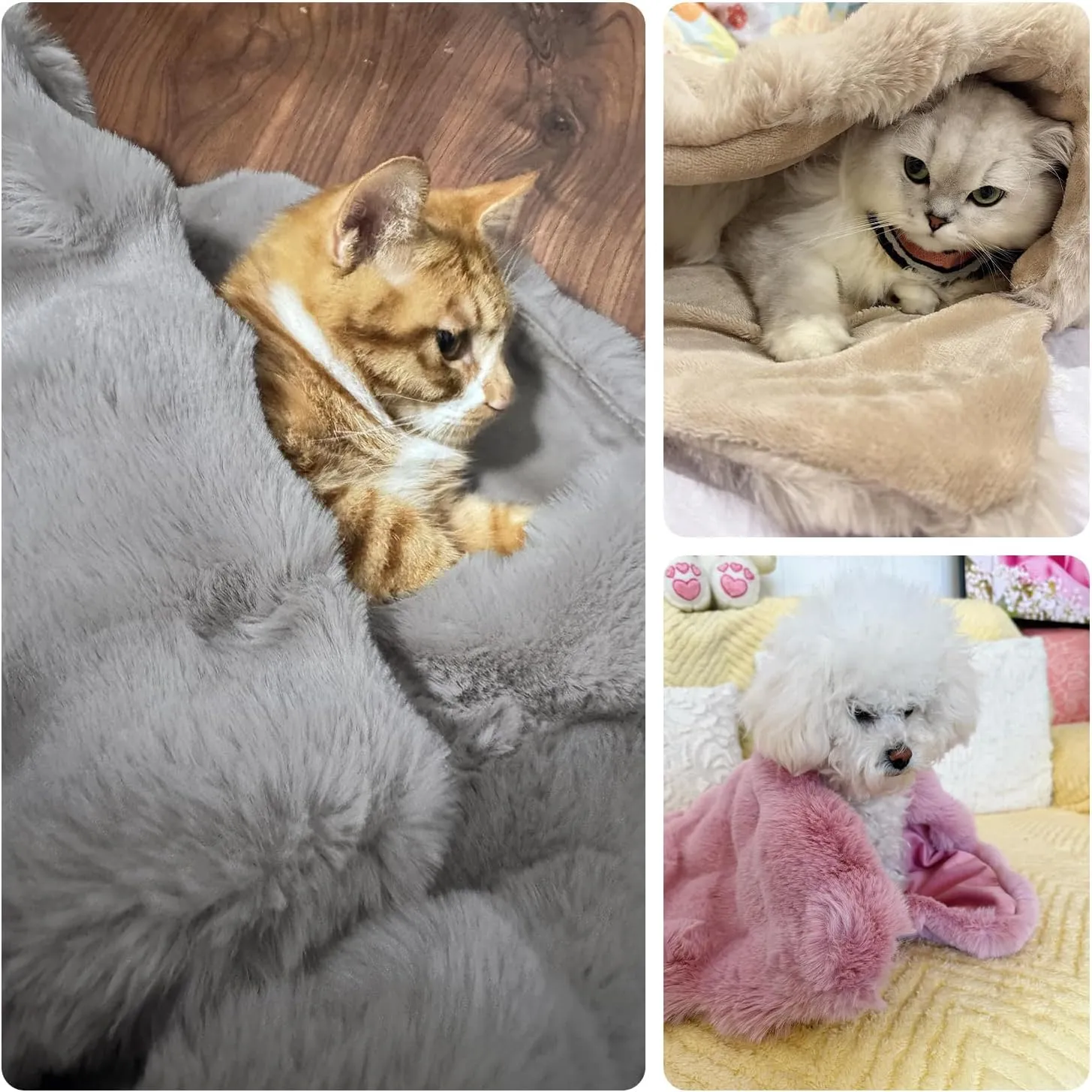 Dog Blanket Ultra Soft Fuzzy Faux Fur Cat Blankets for Indoor Cats Ultra Soft Plush Faux Fur Machine Washable Reversible Pet Throw Protector for Couch Furniture 39"X 30" Orange