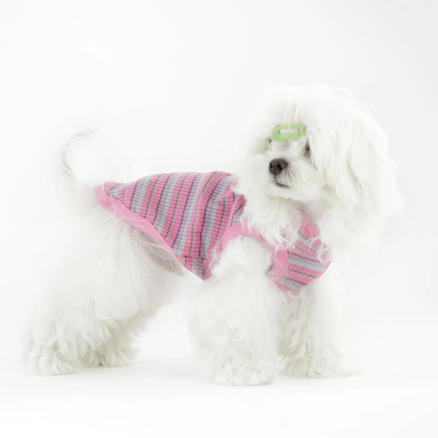 Elevate Your Pet's Comfort and Fashion: Premium 100% Cotton Rib Dog Shirt Vest for Small Breeds Like Chihuahuas, Yorkies, and Puppies .Year-Round Style with Tank-Style Puppy Attire Purple X-Small