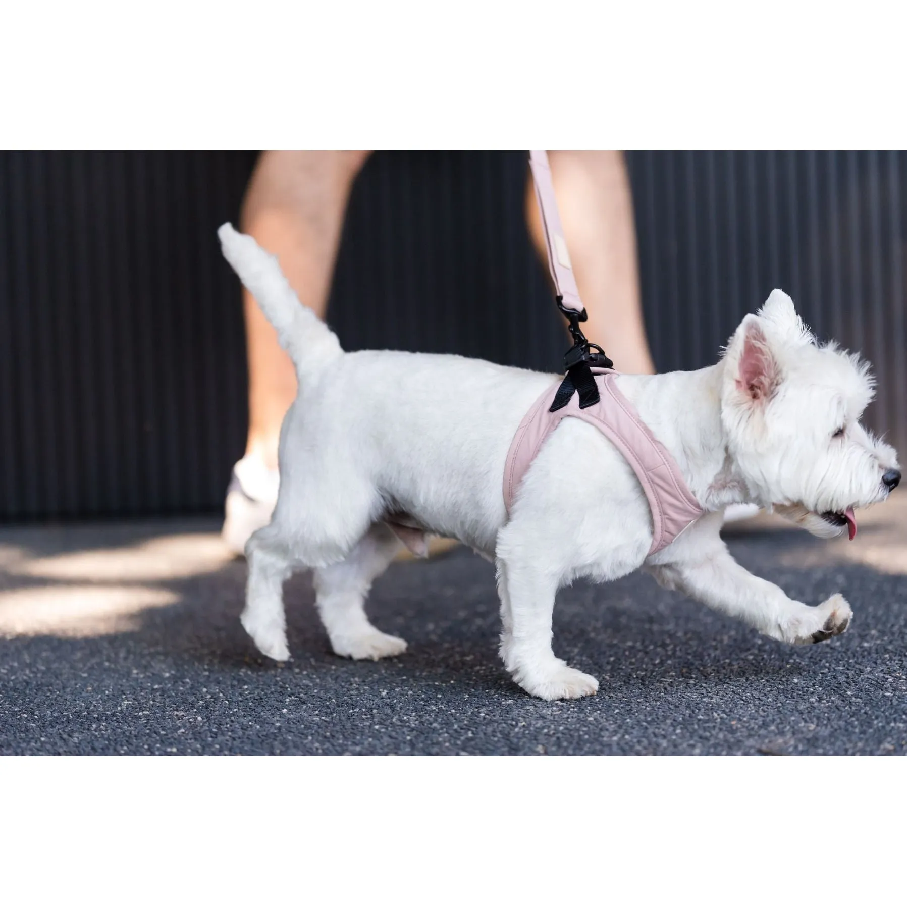 FuzzYard Life Step In Dog Harness Soft Blush Medium