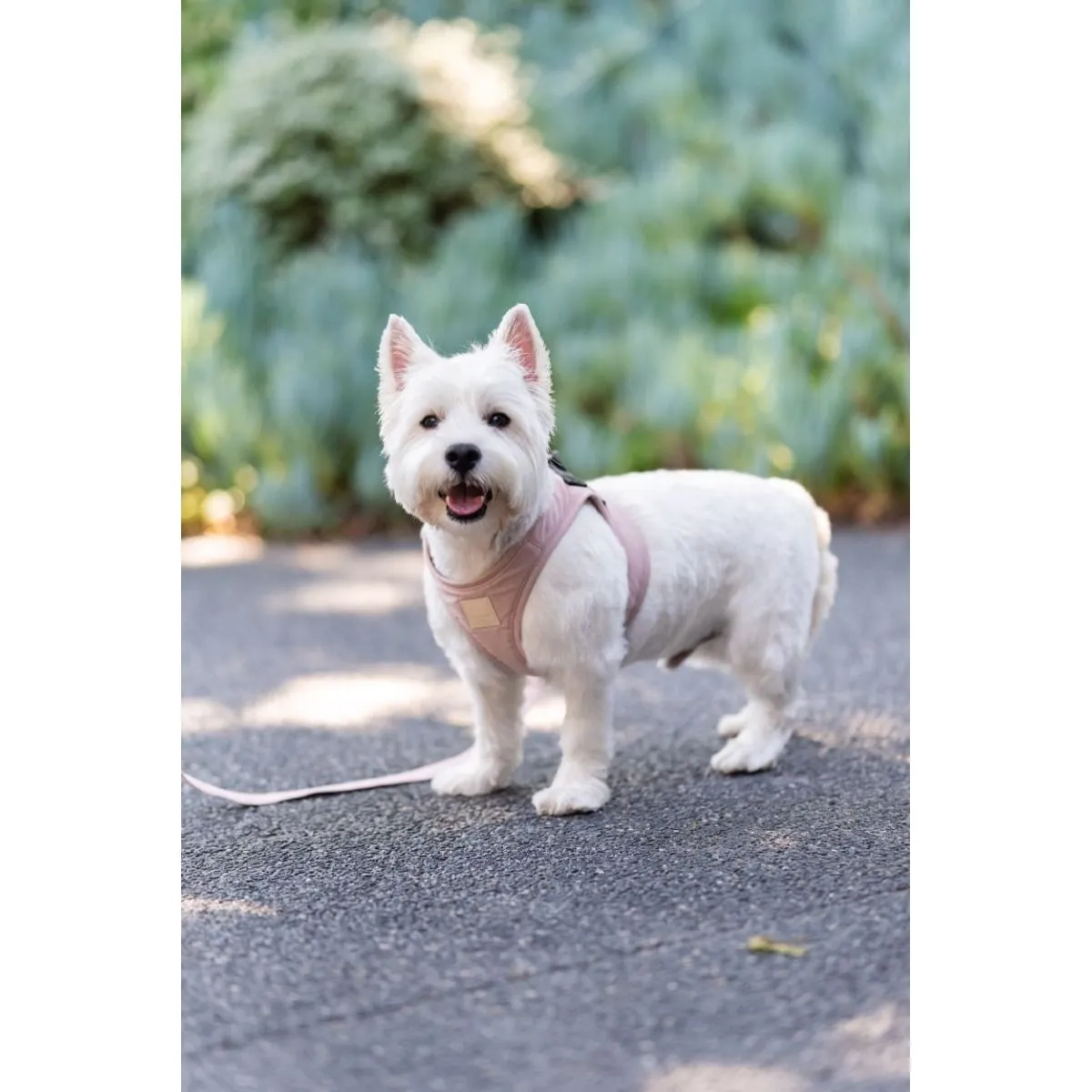 FuzzYard Life Step In Dog Harness Soft Blush Small