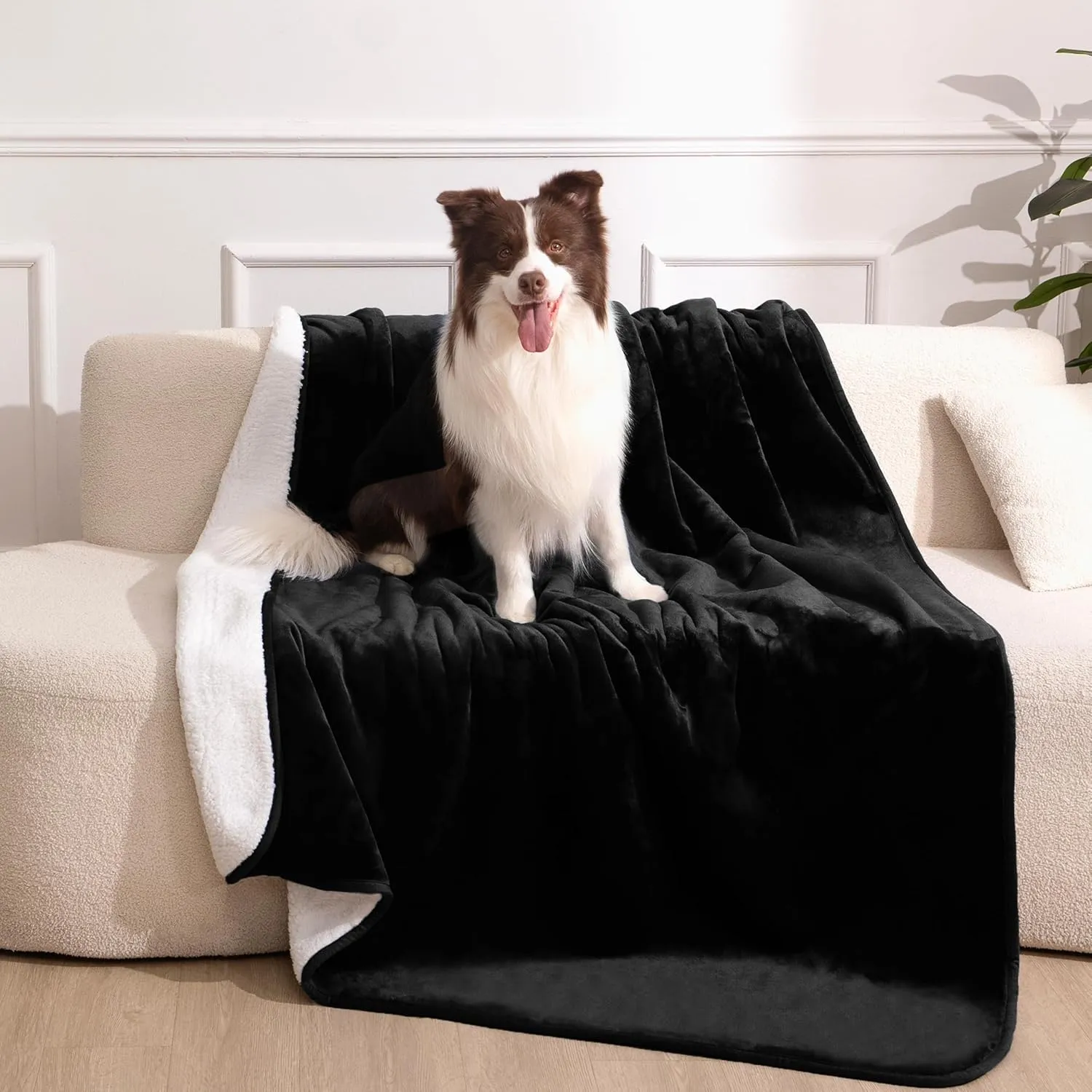gogobunny Waterproof Bed Blanket, Reversible Sherpa Fleece Throw Blanket for Dog Puppy Cat, Furniture Cover Protects Bed Couch Sofa from Liquid Pee and Pet Fur (Black, 60x80 inches)