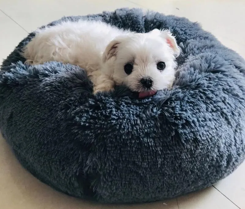 Happy Paws™ Anti-Anxiety Calming Dog Bed