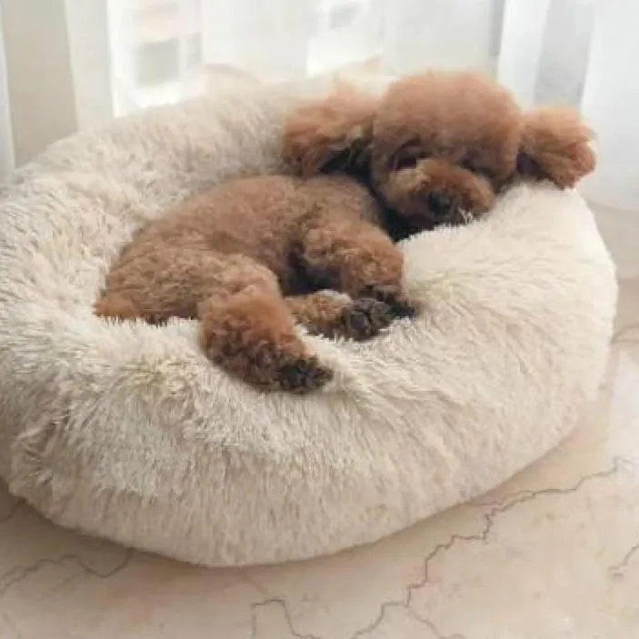Happy Paws™ Anti-Anxiety Calming Dog Bed