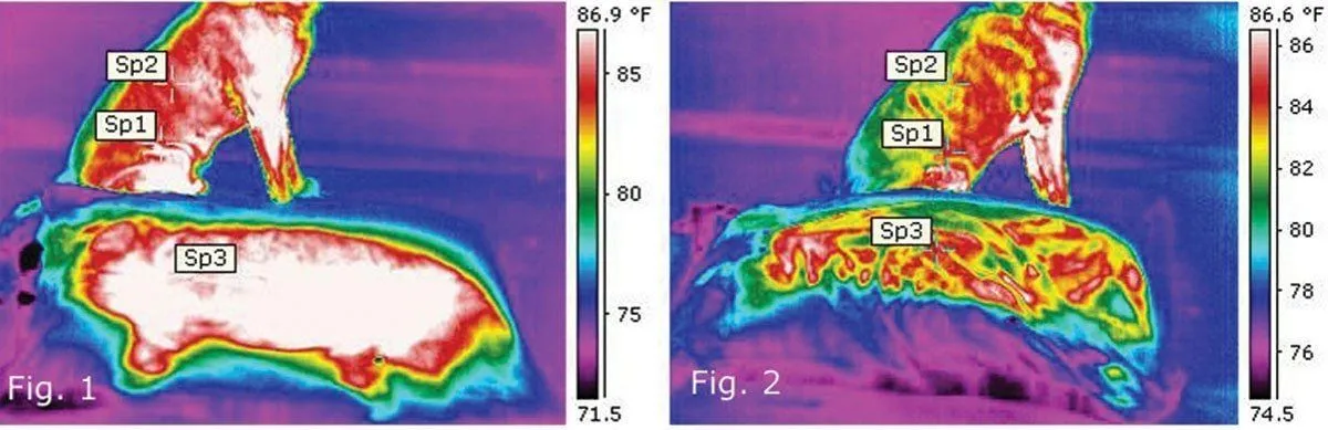 Heating and Cooling Dog Bed