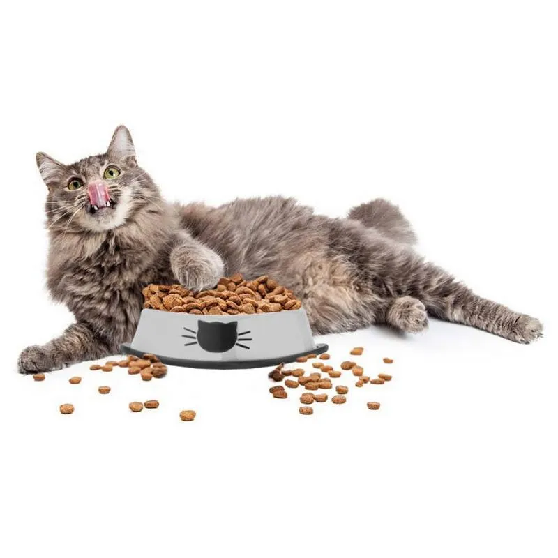 High Quality Stainless Steel Pet Bowl