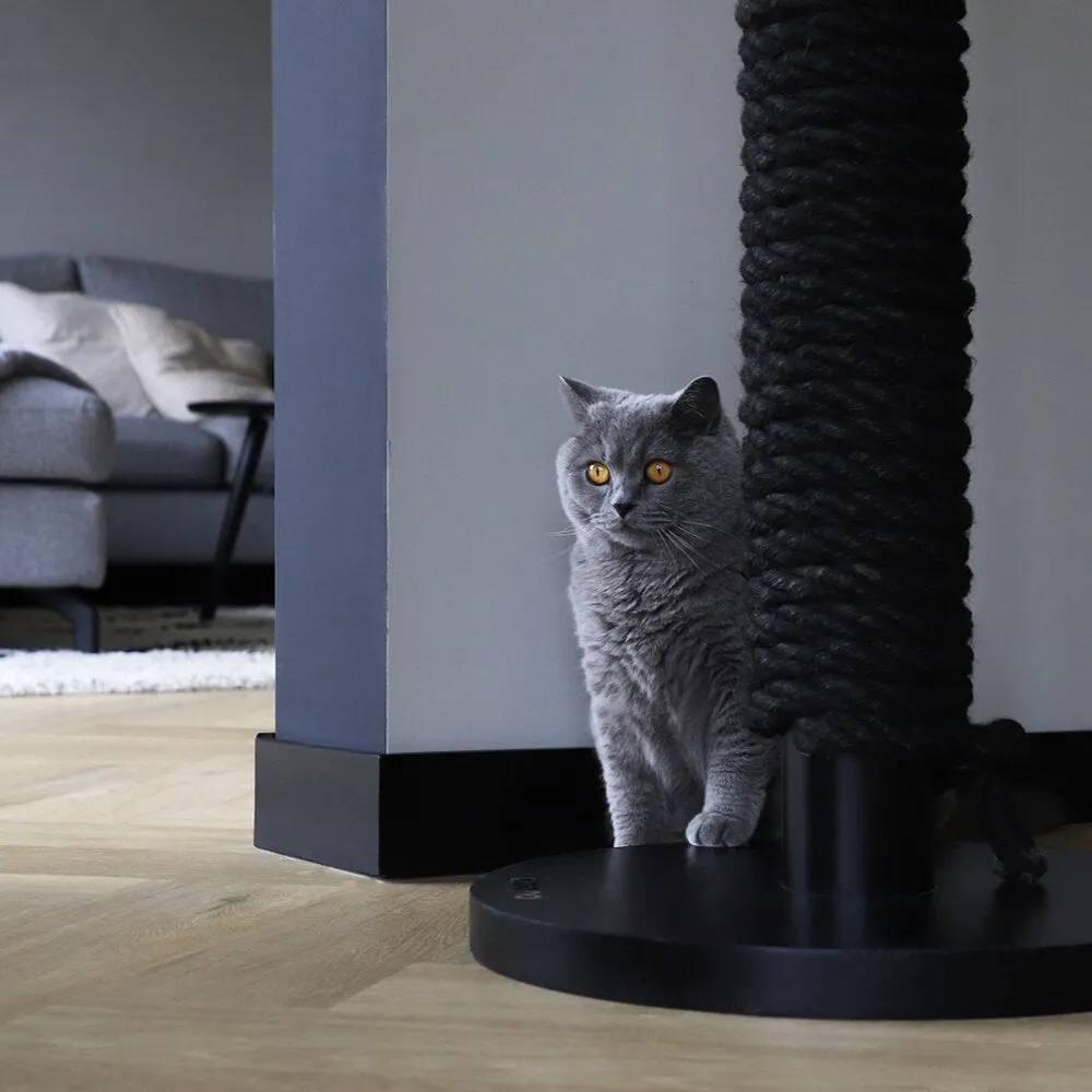Hoopo® Totem Cat Scratching Post | Black