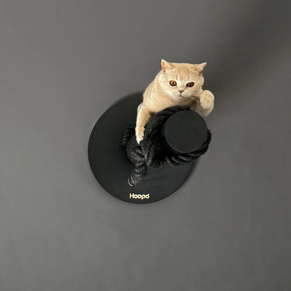 Hoopo® Totem Cat Scratching Post | Black