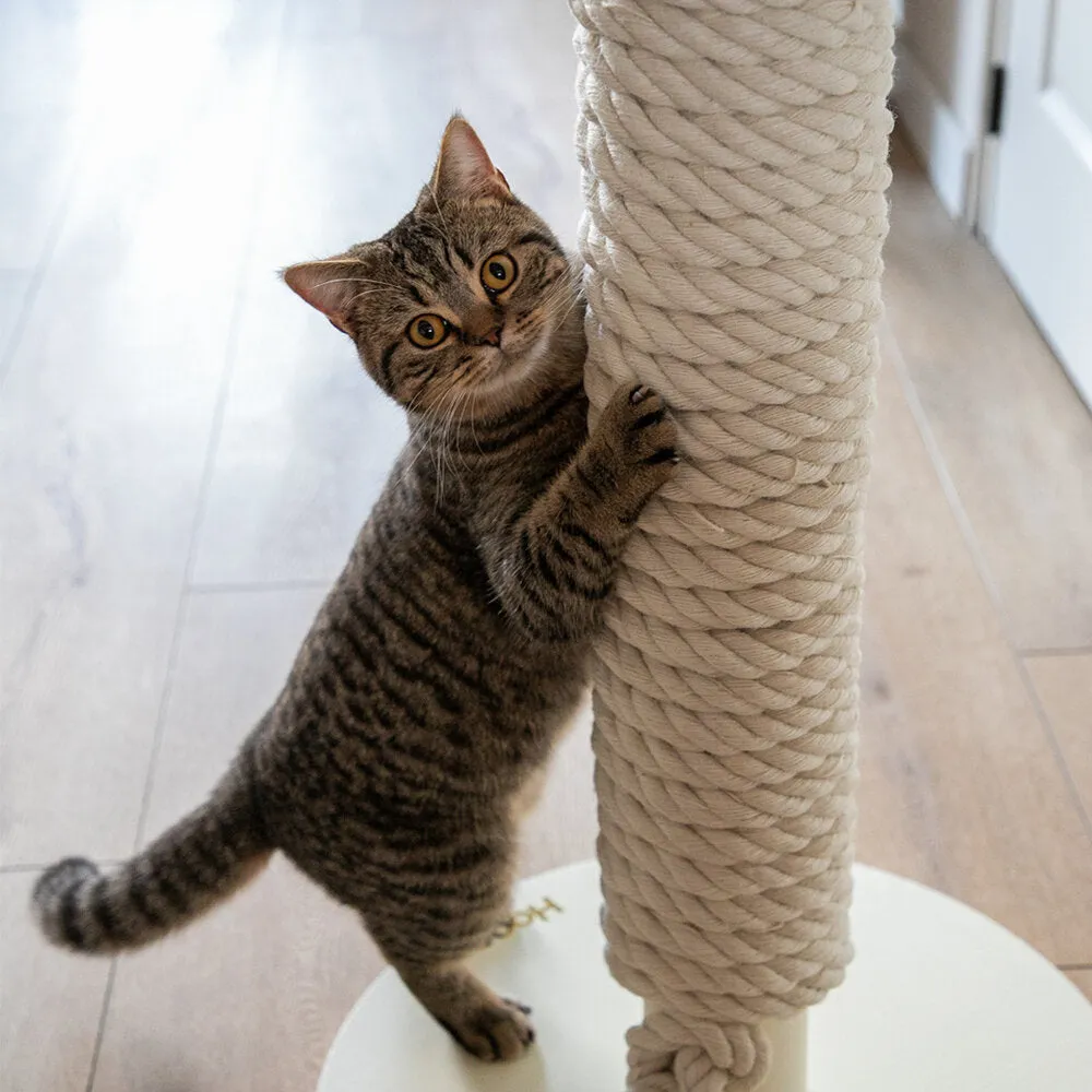 Hoopo® Totem Cat Scratching Post | White