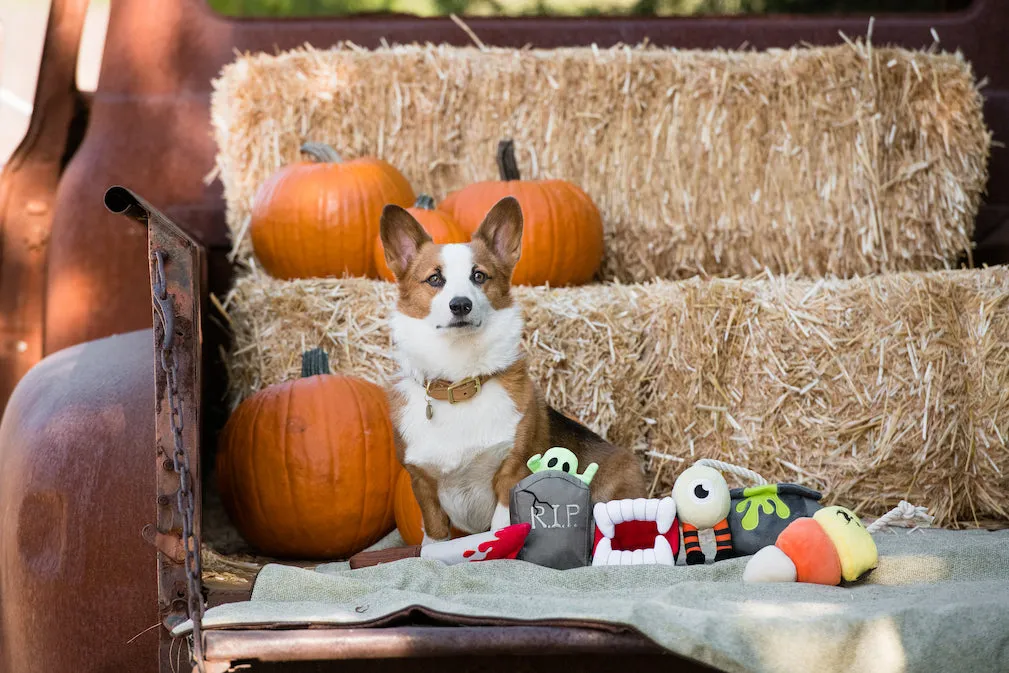 Howling Haunts Collection