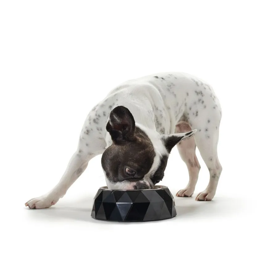 Hunter Feeding bowl Kimberley - White