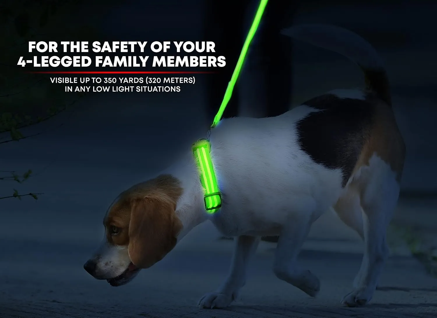 Illumiseen LED Dog Collar USB Rechargeable - Bright & High Visibility Lighted Glow Collar for Pet Night Walking - Weatherproof, in 6 Colors & 6 Sizes (Green Large)