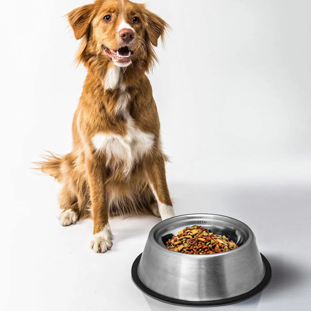 Indipets Stainless Steel No-Tip Dog Bowl