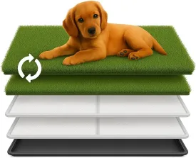 Indoor Potty Tray for Dogs  35 x 22.5 in Grass Dog Pee Pad with Tray & 2 Pee Pads  Puppy Grass Potty Patch, Reusable Grass Pee Pads for Dogs, Large Artificial Fresh Patch for Dog Potty Training