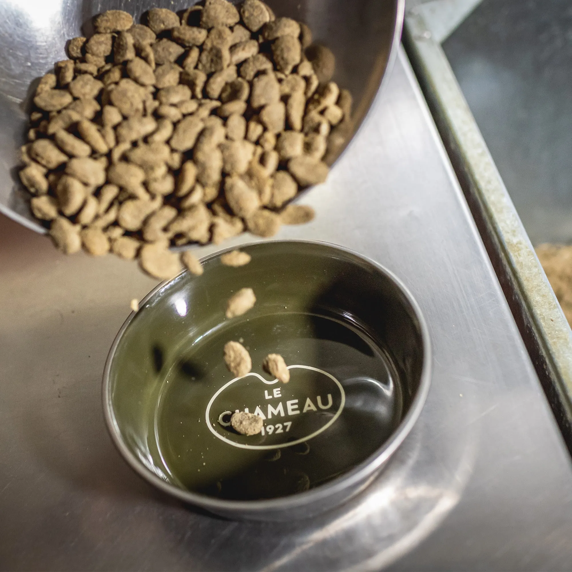 Le Chameau Stainless Steel Dog Bowl