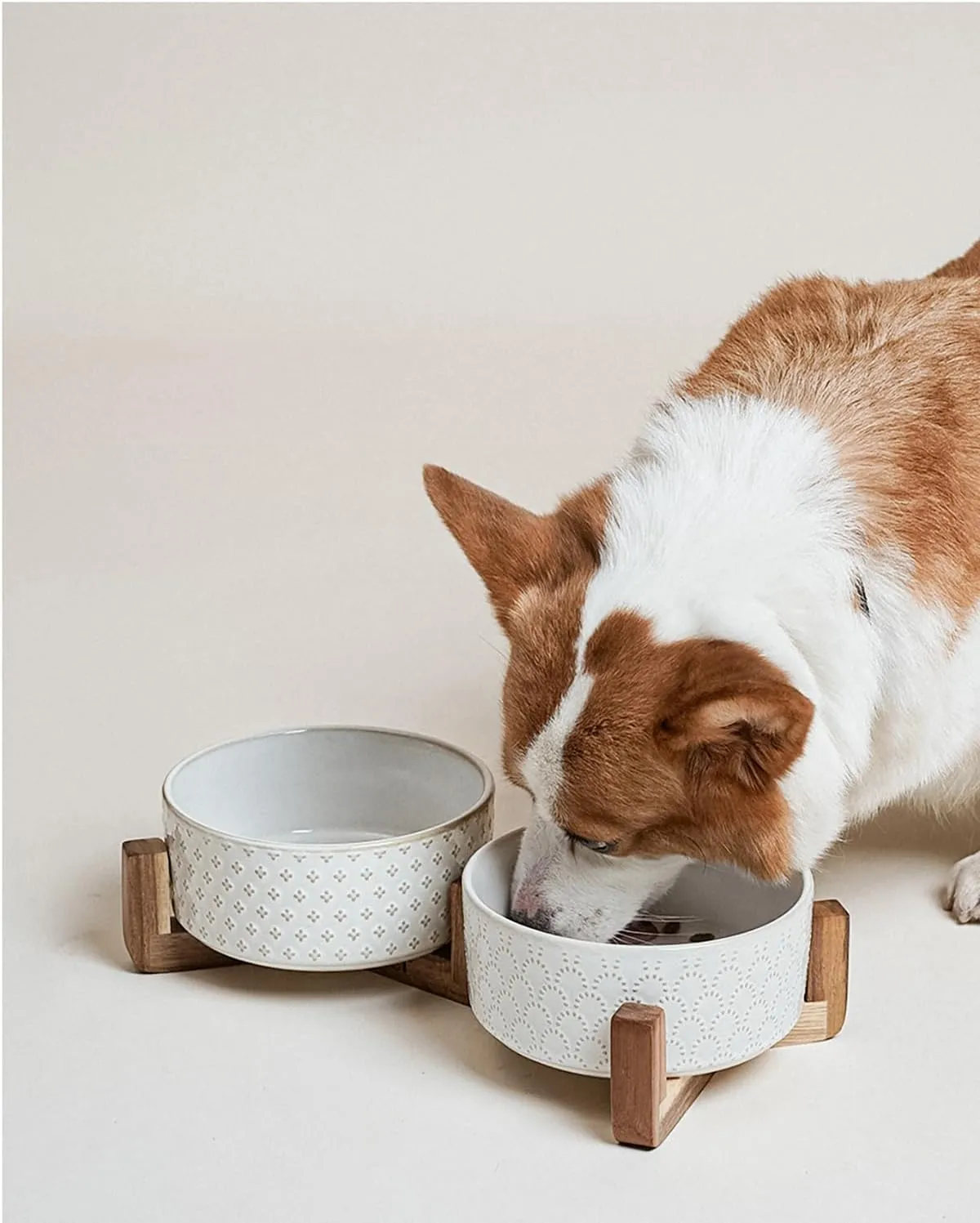 LE TAUCI Dog Bowl Set with Acacia Wood Stand - 1.5-Cup Ceramic Puppy Bowls for Small Dogs, Dual Food and Water Bowls with Weighted Non-Slip Base, Clover