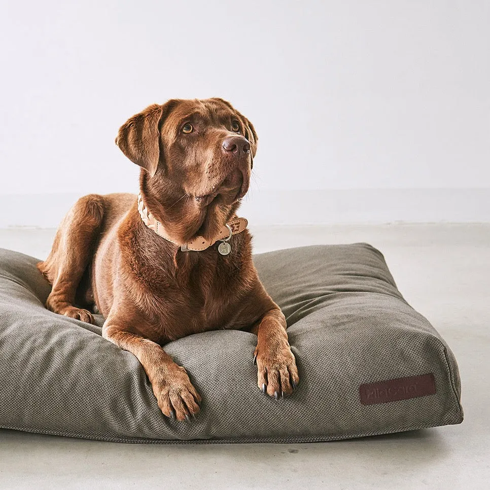 Mare Dog Cushion