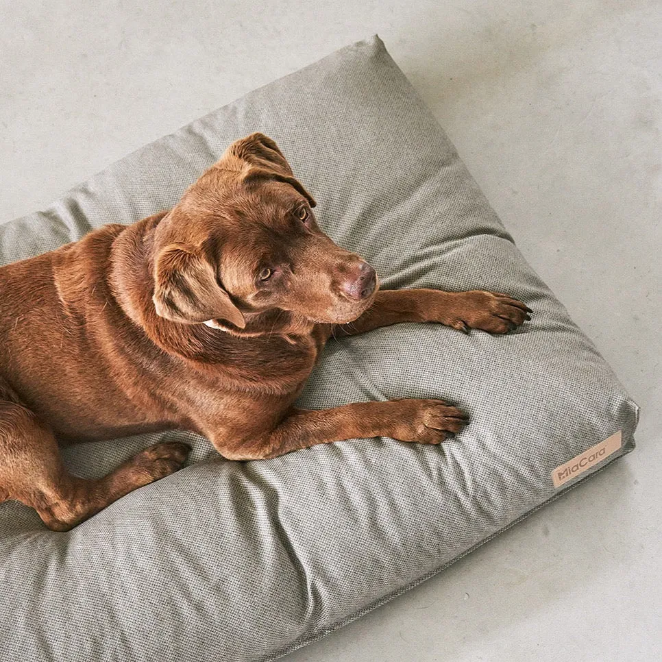 Mare Dog Cushion