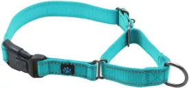 Max and Neo Nylon Martingale Collar - We Donate a Collar to a Dog Rescue for Every Collar Sold (Small, Teal)