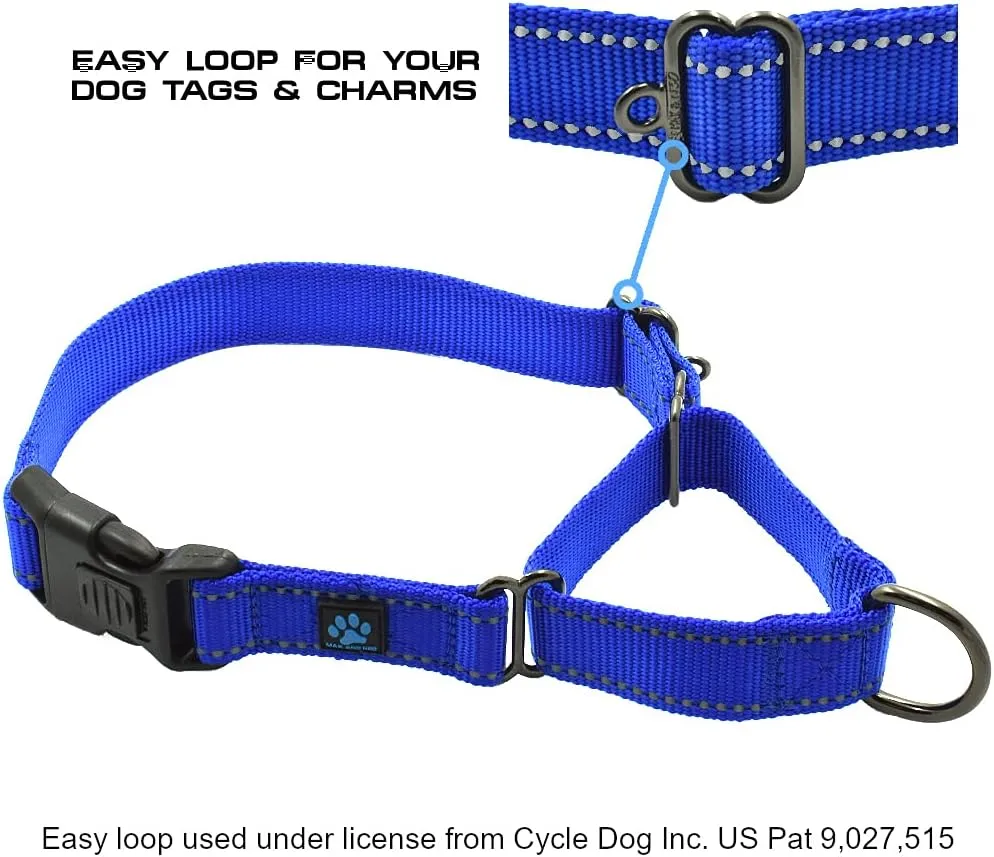 Max and Neo Nylon Martingale Collar - We Donate a Collar to a Dog Rescue for Every Collar Sold (Small, Teal)