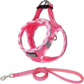 Mercano Soft Mesh Dog Harness and Leash Set, No-Chock Step-in Reflective Breathable Lightweight Easy Walk Vest Harnesses with Safety Buckle for Small Dogs, Cats (S, Fuchsia)