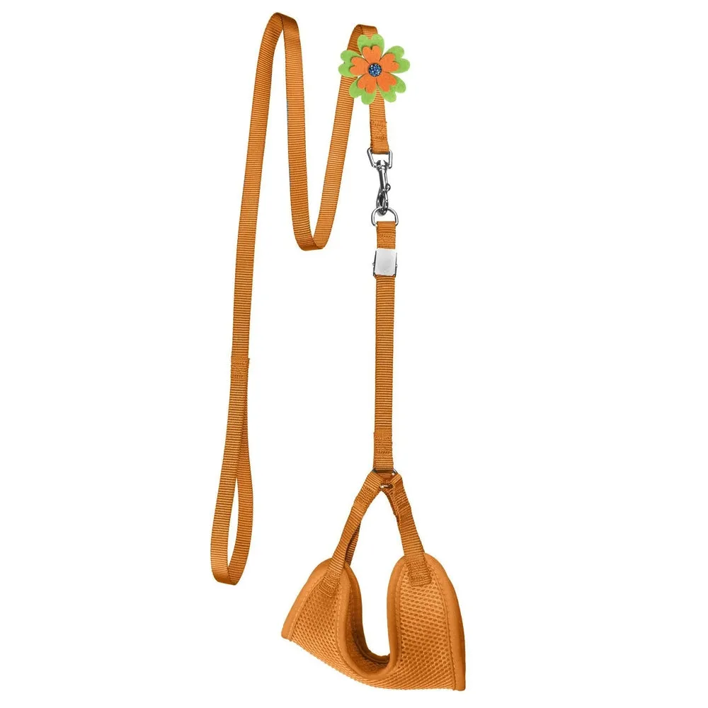 Mesh Step-In Nylon Harness   Optional Flower Leash