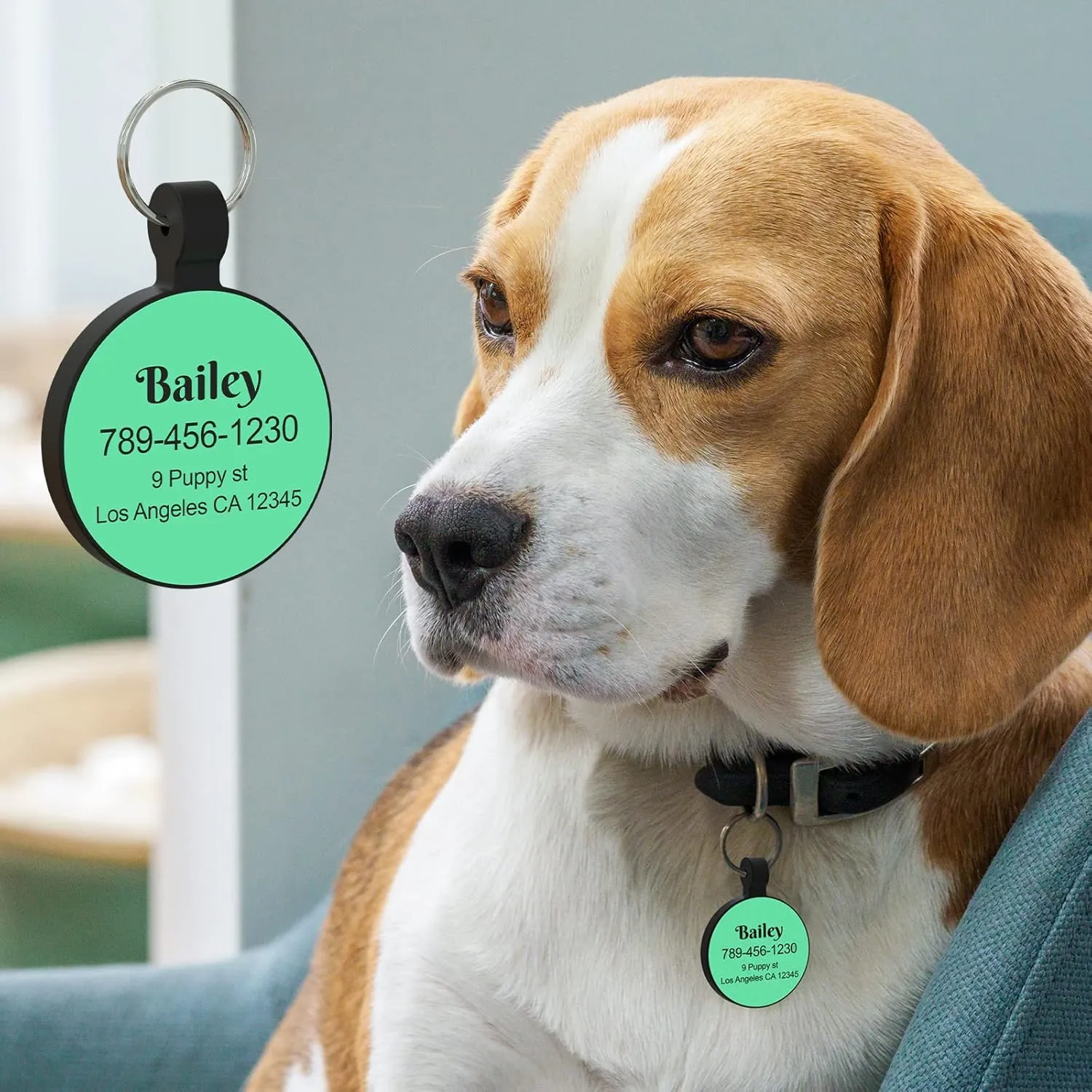 MYLUCKYTAG Personalized Pet ID Tags Dog Tags - Silent Silicone QR Code ID Tags - Pet Online Profile - Send Pet Location Alert Email When Scanning, 1.18 inch
