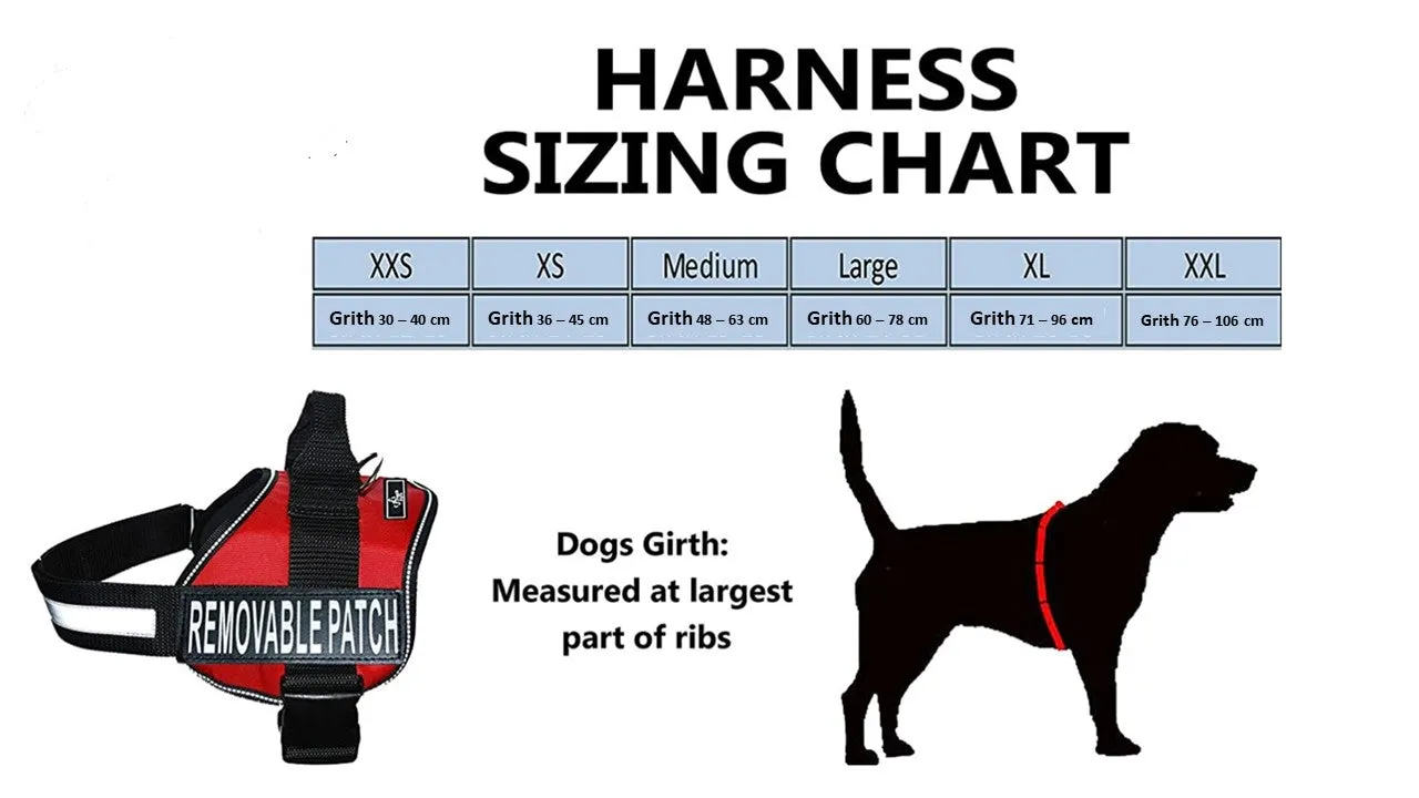 Nakura - Therapy Dog Harness With Removable Patches - Blue - XL