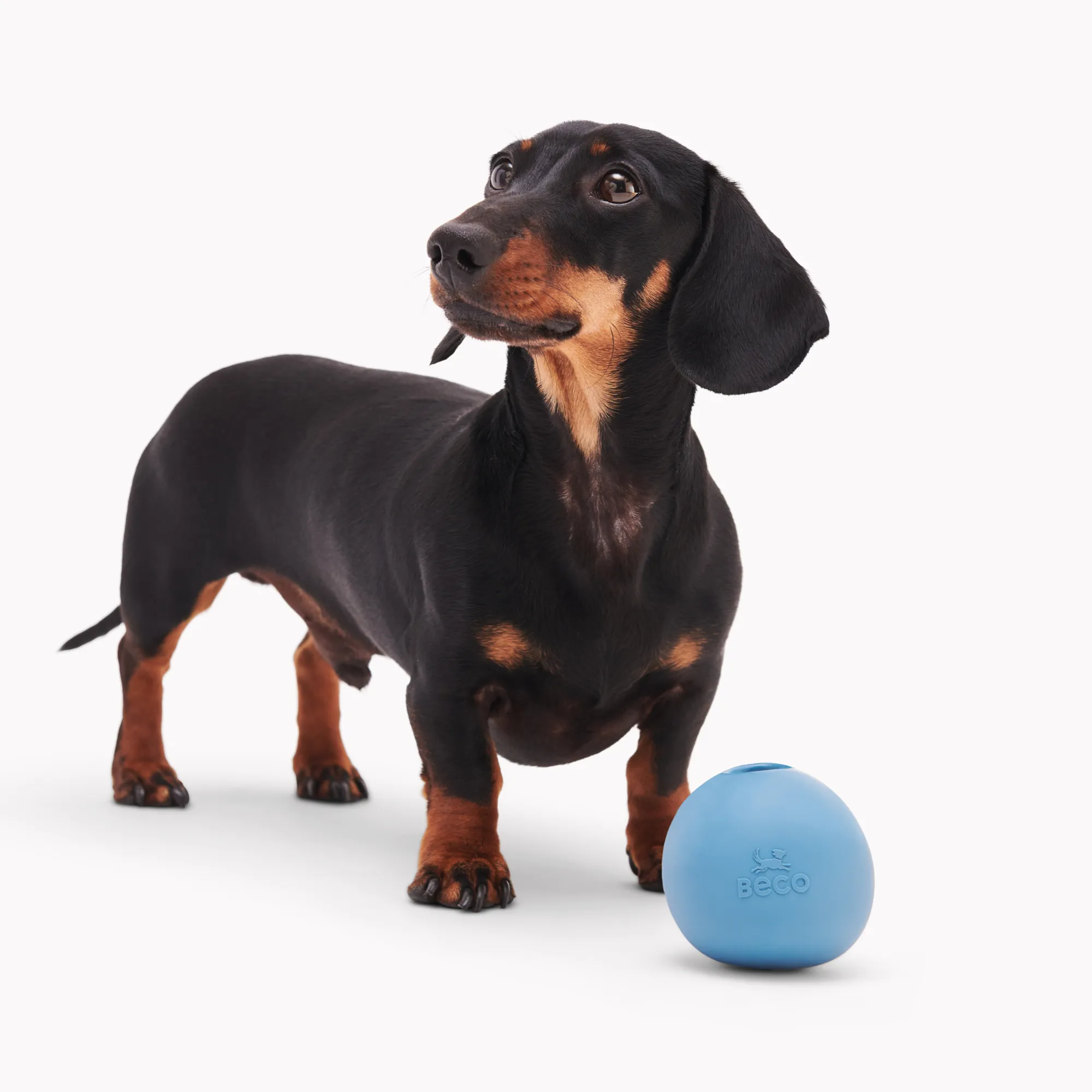 Natural Rubber Wobble Ball with Treat Hole