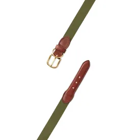 Olive Green Surcingle Dog Collar
