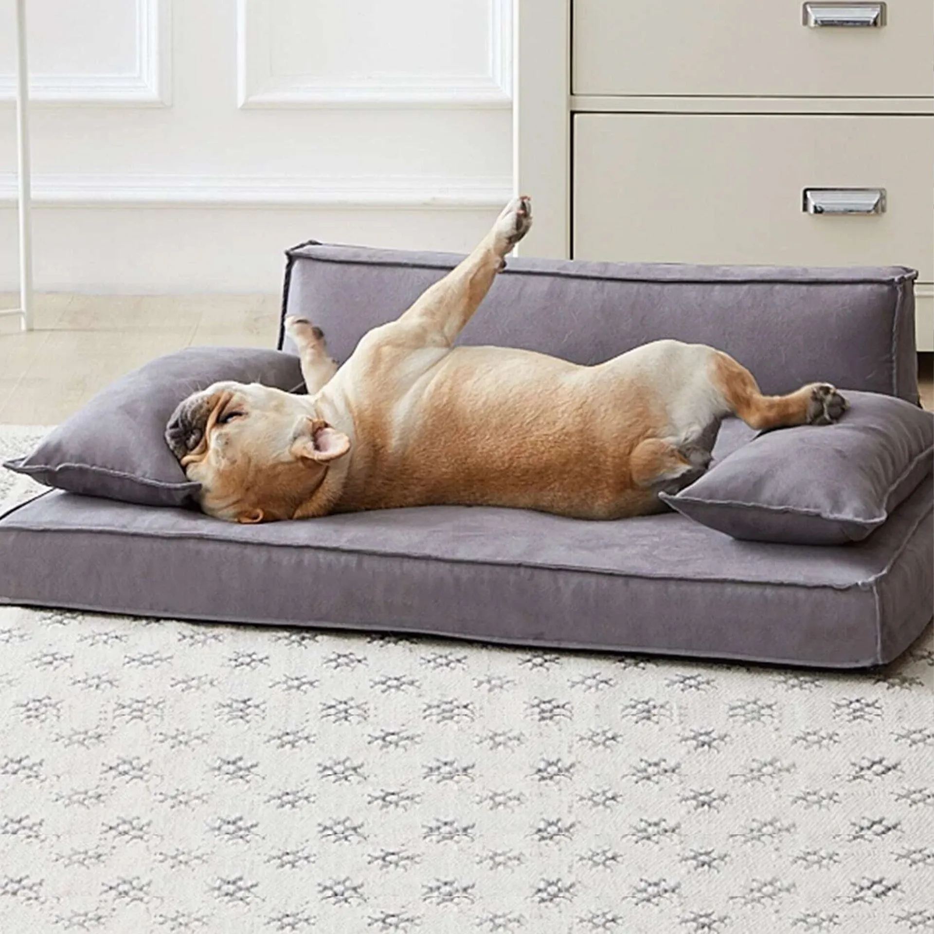 Orthopedic Luxury Dog Sofa Bed