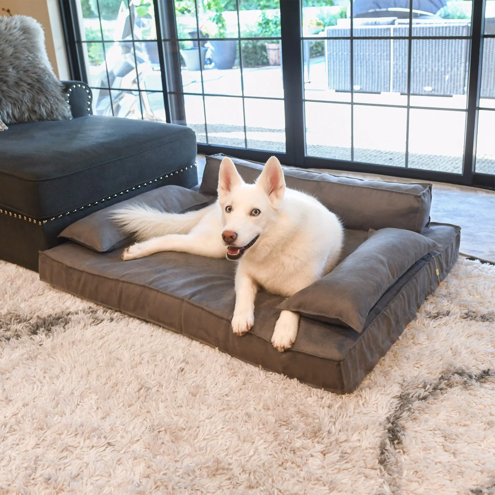 Orthopedic Luxury Dog Sofa Bed